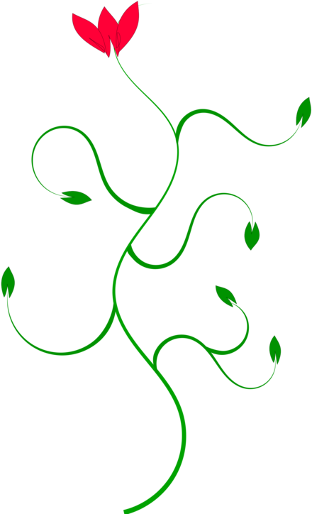 Petal Curve Flower Line Plant Stem - Courbe Fleur Clipart (530x750), Png Download