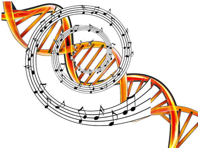 Golden Ratio And Music In The Dna Geometrie, Bilder, - Novelty Personalised Trumpet & Musical Notes 7.5" Clipart (666x499), Png Download
