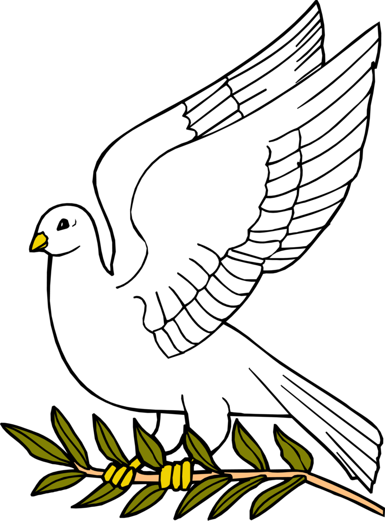 The Conflict In Gaza In A Nutshell - Dove With Olive Leaf Clipart (756x1024), Png Download