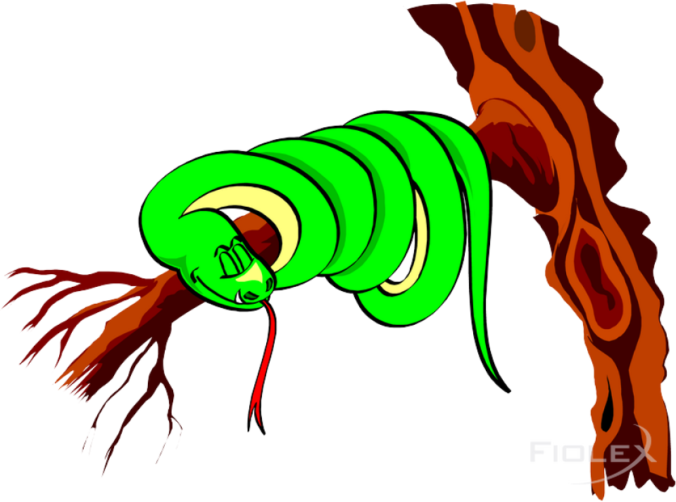 Graphics Clipart (800x595), Png Download