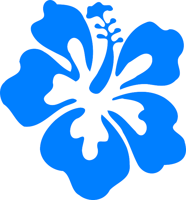 Flores Hawaianas Png - Hibiscus Clip Art Transparent Png (595x640), Png Download