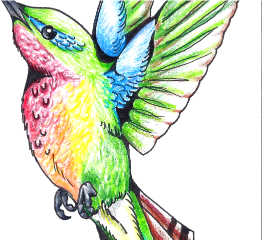 Gothic Tattoos Clipart Hummingbird - Tattoos A Colores Png Transparent Png (640x480), Png Download