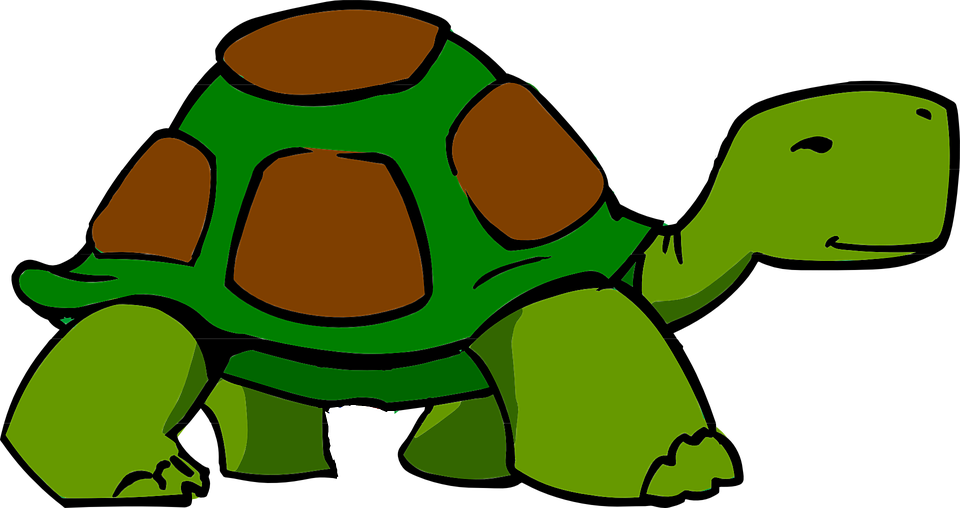 Green Turtle Clipart - Png Download (960x508), Png Download
