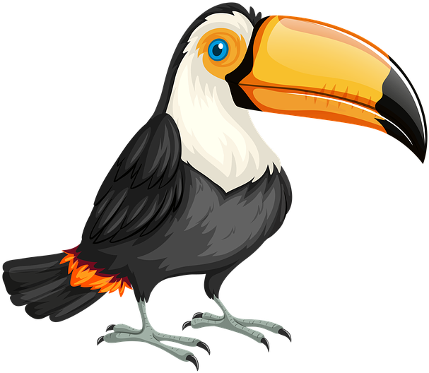 Download Transparent Png - Toucan Clipart (607x528), Png Download