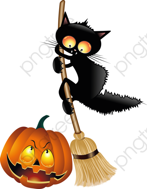 Black Cat Clipart Illustration - Halloween Cat And Pumpkin - Png Download (624x800), Png Download