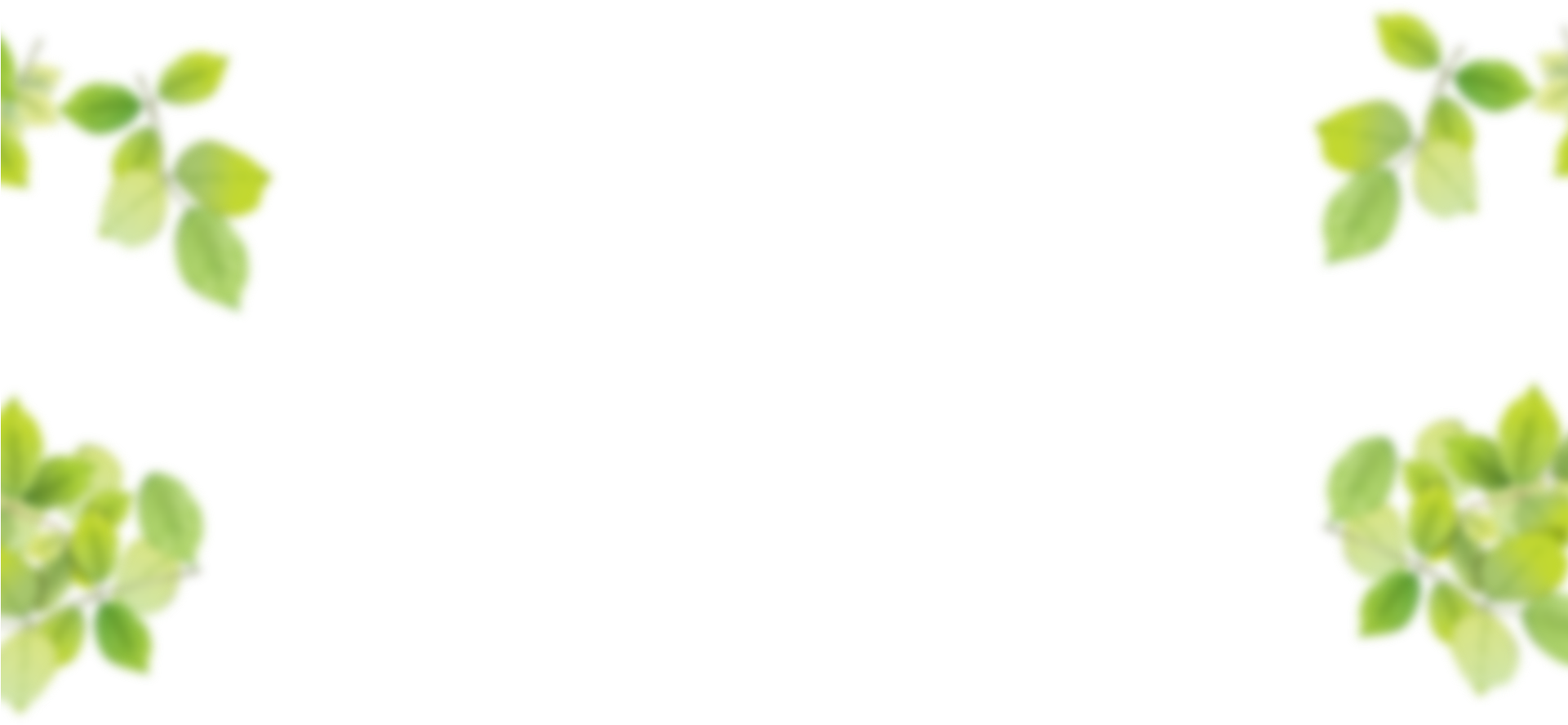 White Background With Leaves Border Png - High Resolution Leaves Png Clipart (1921x888), Png Download