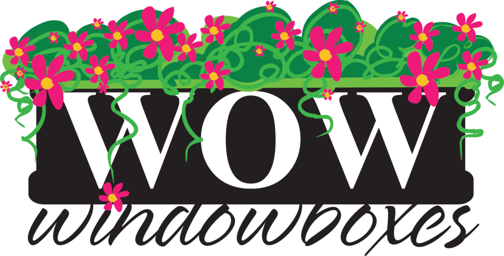 Fall Flowers Clip Art - Png Download (1000x509), Png Download