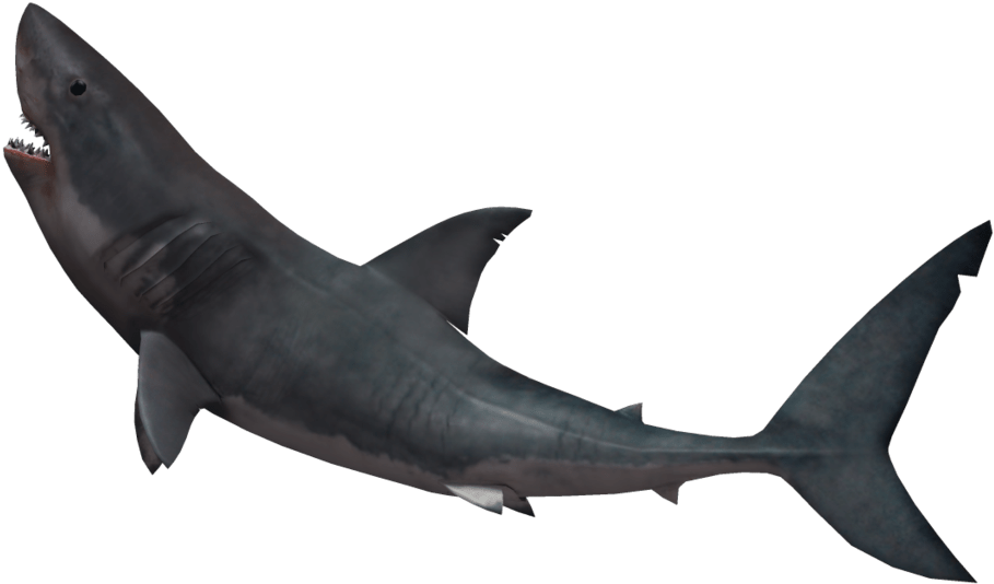 Hammerhead Shark Png - Shark With Invisible Background Clipart (909x534), Png Download