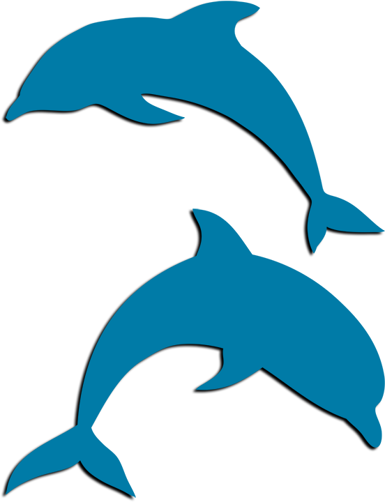 Tri Delta Dolphin Png Clipart (552x720), Png Download