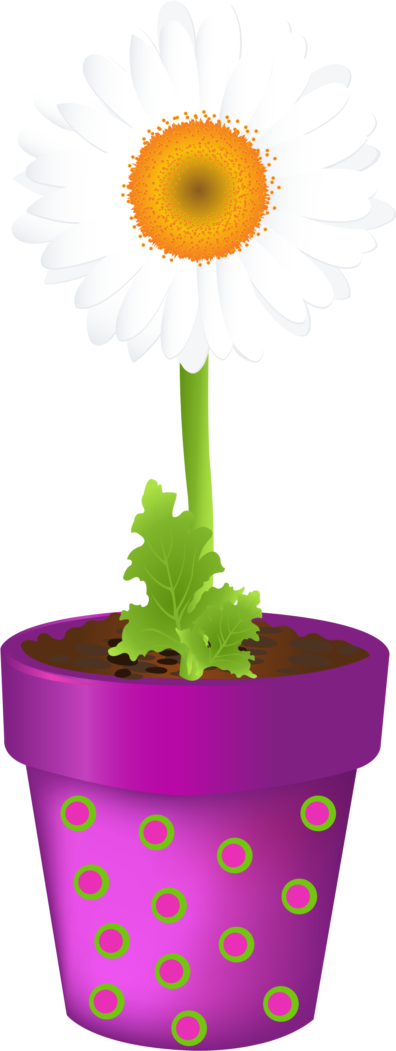 Clip Art Sunflower Transprent - Regaderas Plantas Vintage Flores - Png Download (3423x4711), Png Download