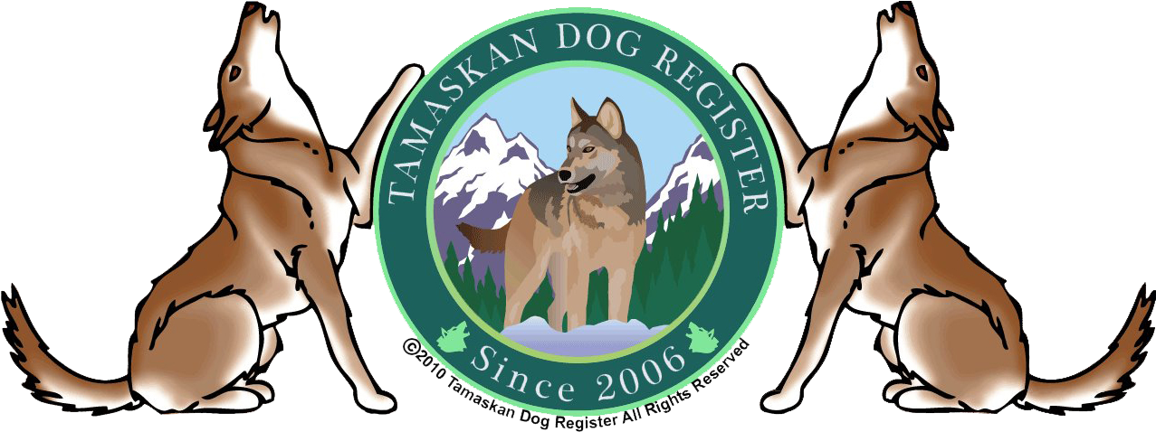 Dog Catches Something Clipart (1278x1278), Png Download