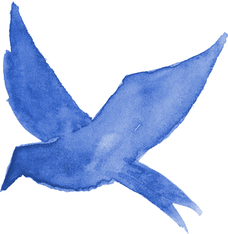 Free Download - Bluebird Clipart - Full Size Clipart (#4911818
