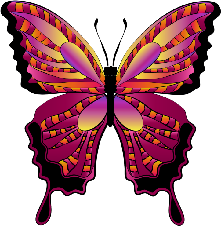 Butterfly Clipart - Png Download (768x784), Png Download