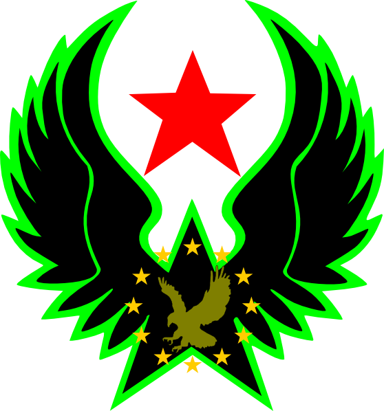 Eagle Star Hero Clip Art - Star Wing Png Transparent Png (558x598), Png Download