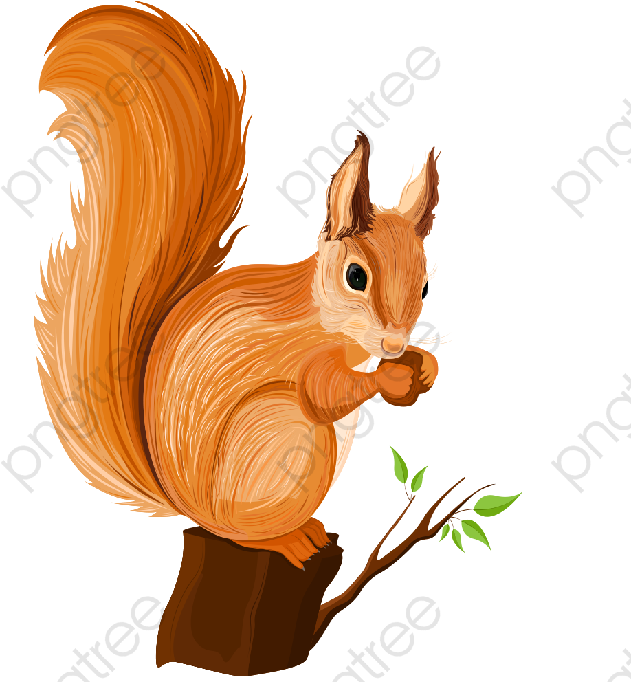 Transparent Squirrel Cartoon Clipart (1000x1000), Png Download