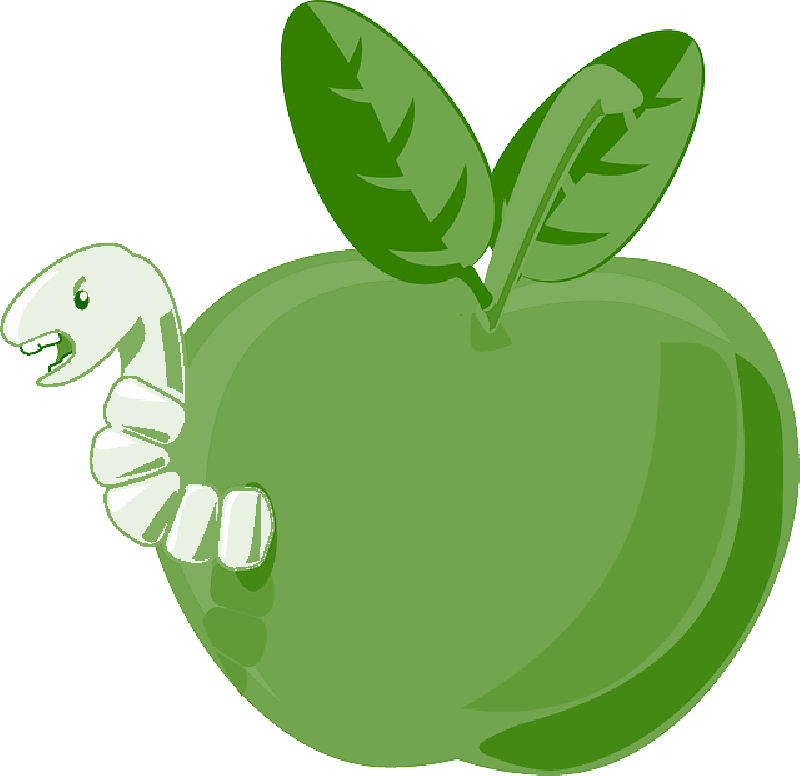 Red, Green, Apple, Food, Fruit, Small, Apples, Bitten - Cartoon Apple Clipart (800x776), Png Download