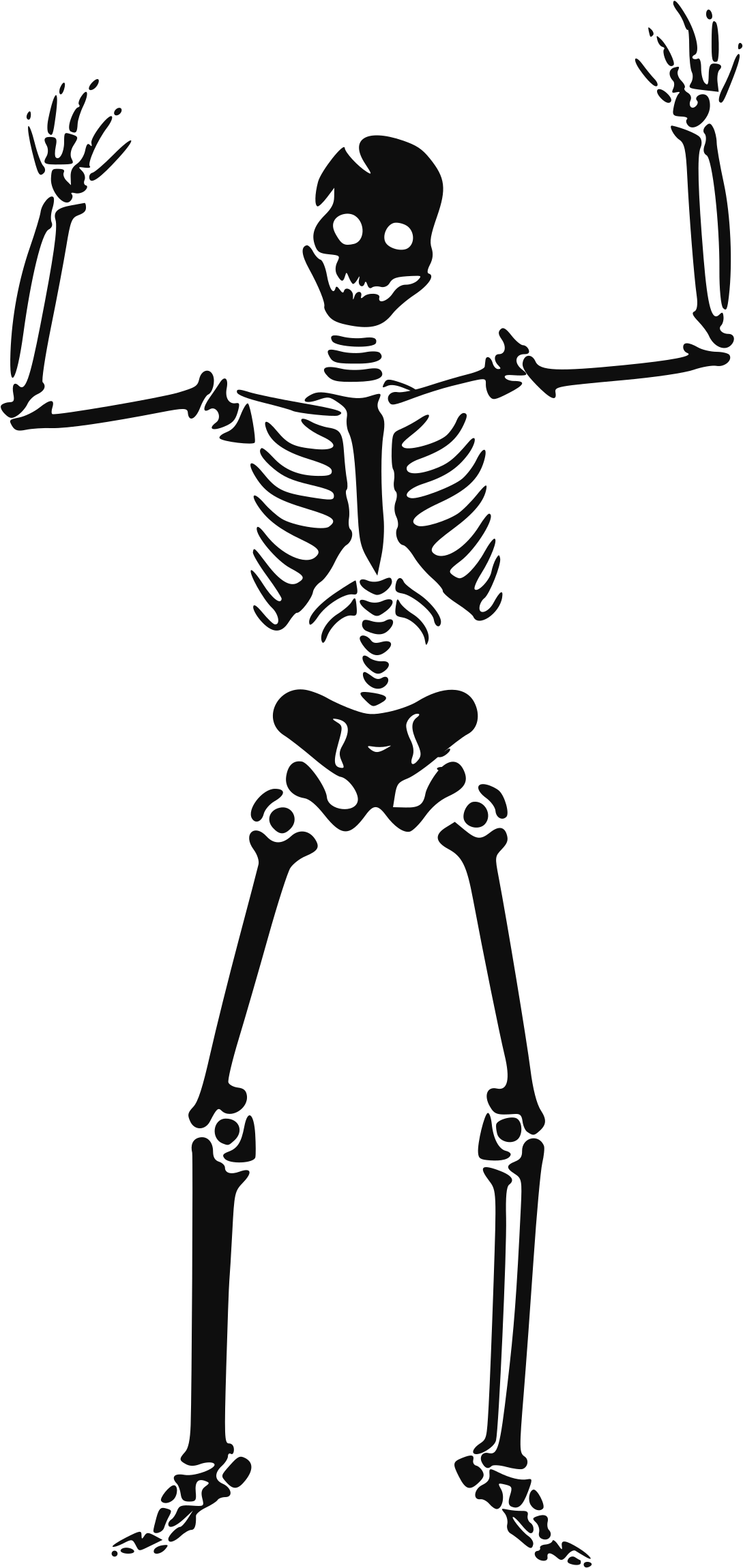 Skeleton Clipart Transparent - Halloween Skeleton Clipart - Png Download (1922x2400), Png Download