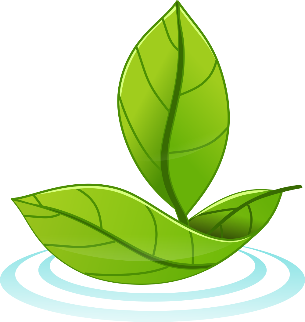 Clip Art - Png Download (1000x1055), Png Download