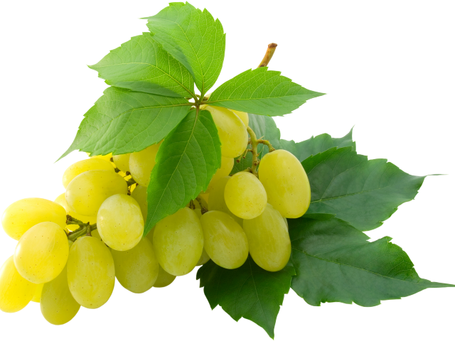 Grapes Clipart Single Grape - Grapes Transparent Png (640x480), Png Download