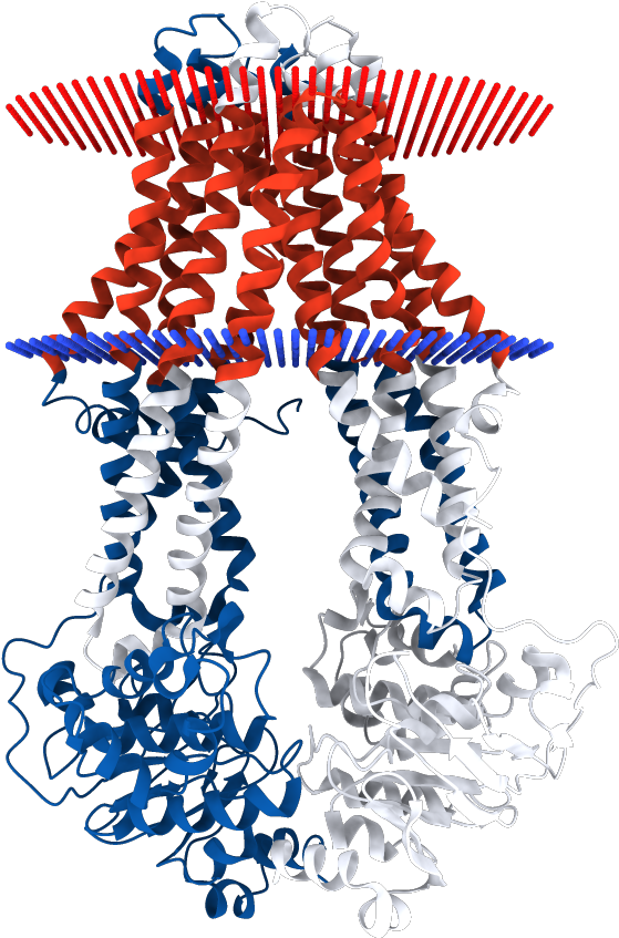 4q4j - Illustration Clipart (1000x1000), Png Download