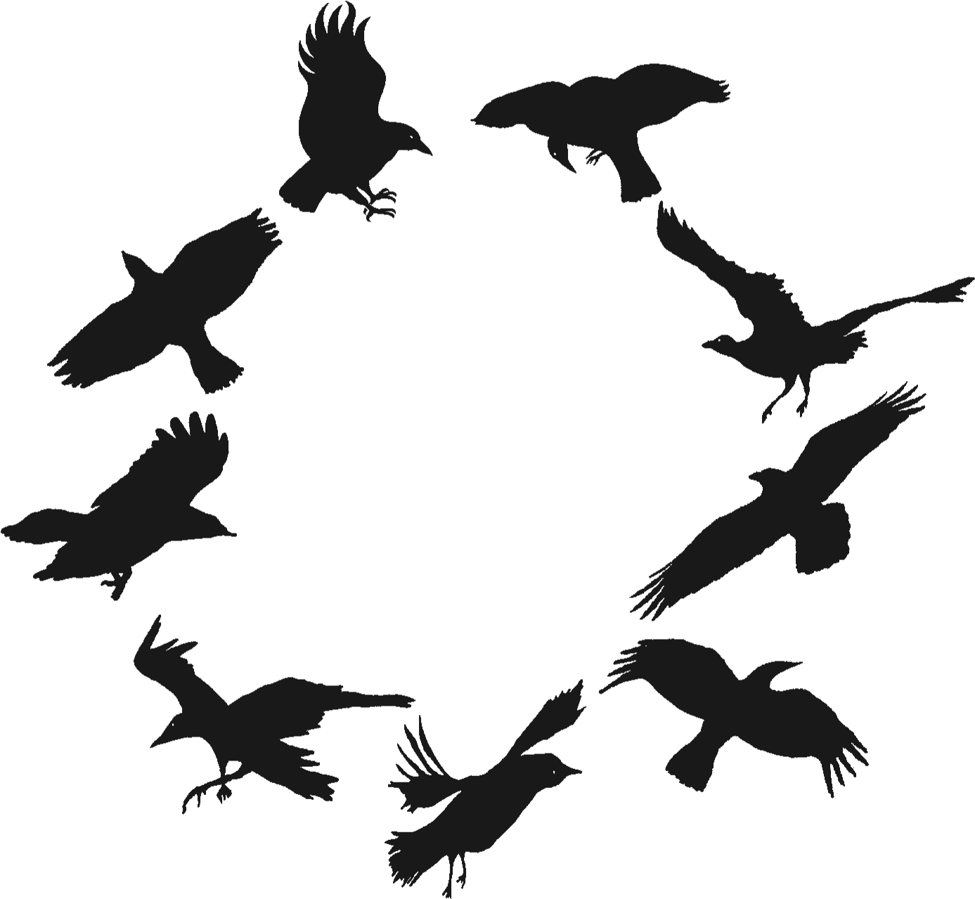 Black Crows Png - Flock Clipart - Full Size Clipart (#4930776) - PinClipart