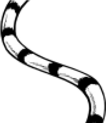 Tiger Tail Black And White Clipart (640x480), Png Download