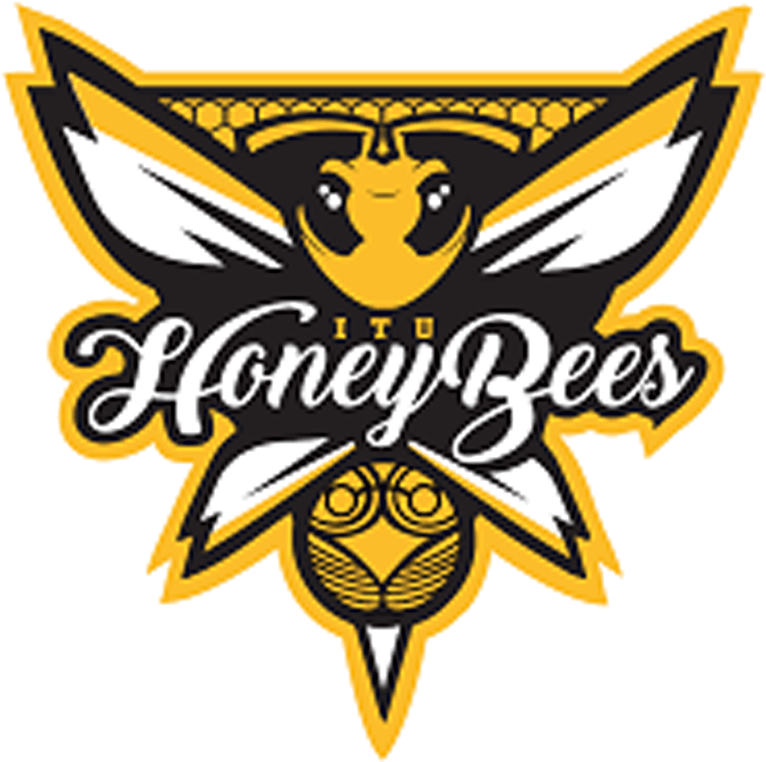 Itu-honeybees - Honeybees Quidditch Clipart (960x960), Png Download