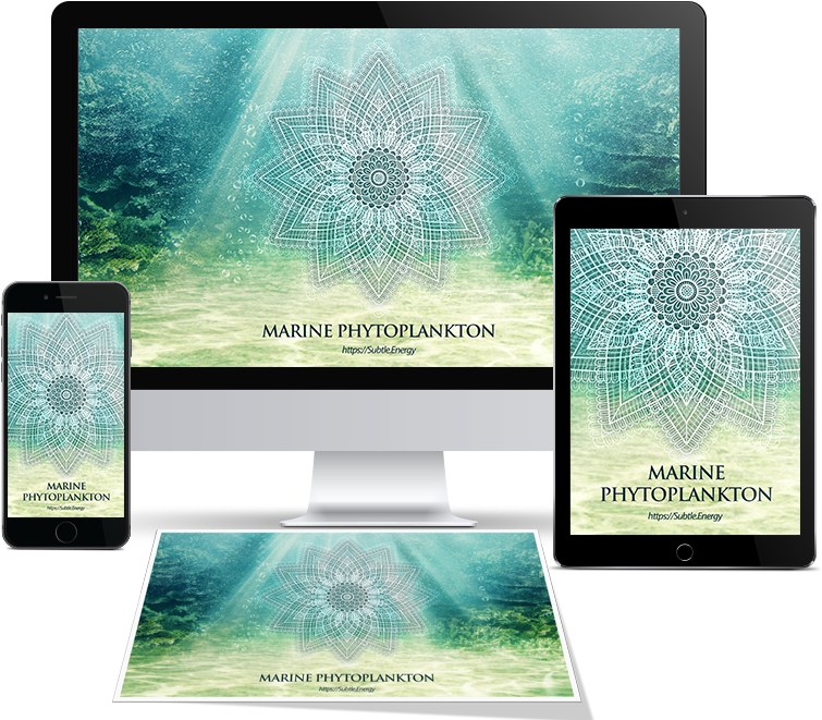 Marine Phytoplankton - Tablet Computer - Tablet Computer Clipart (755x661), Png Download