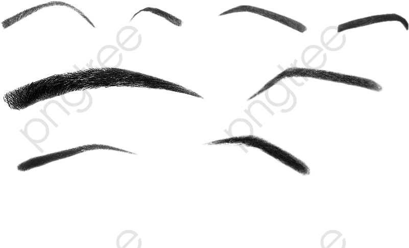 Eyebrow Brush Clipart - Sketch - Png Download (865x511), Png Download