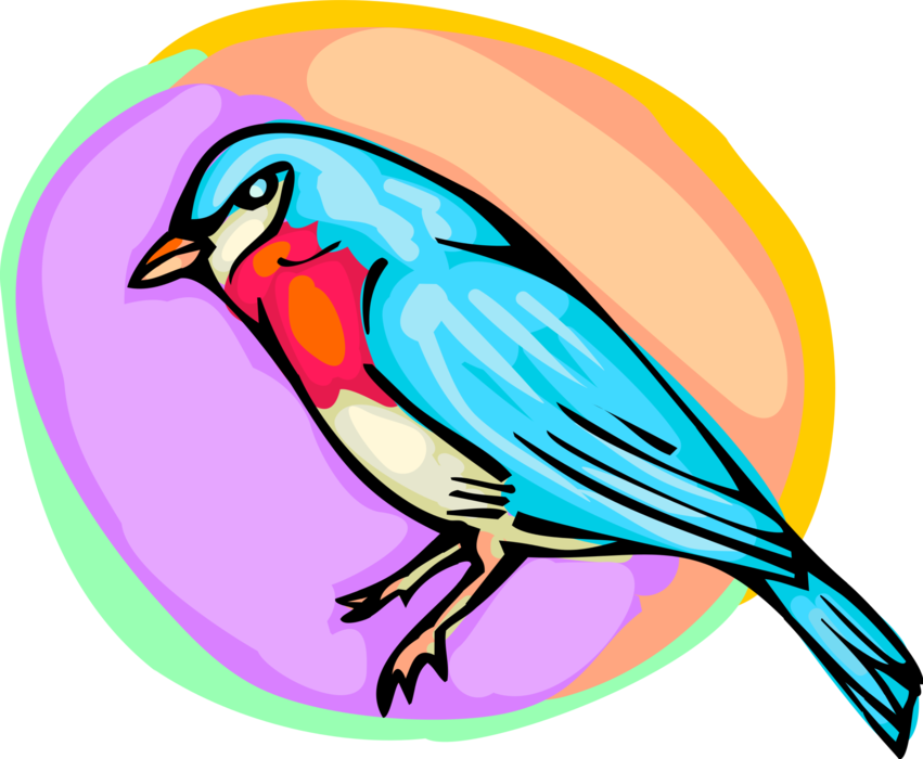 Vector Illustration Of Small Bluebird Bird - Mountain Bluebird Clipart (851x700), Png Download