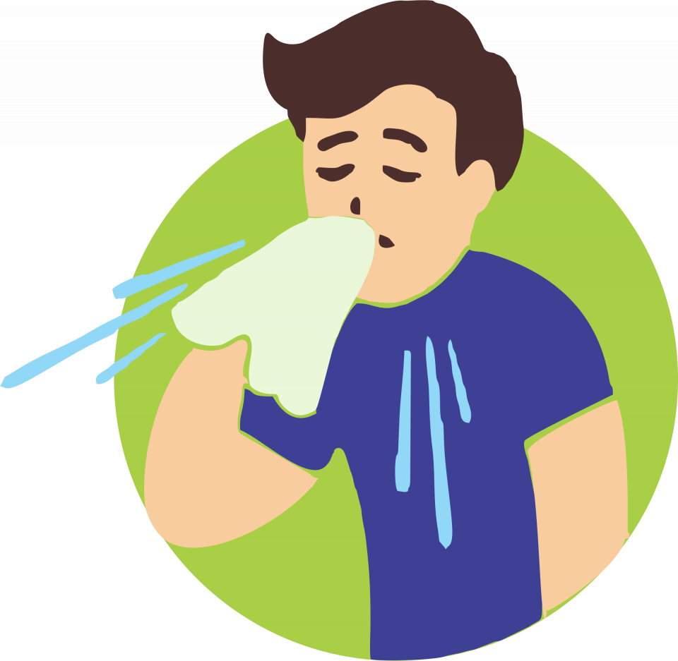 流行 性 感冒 Clipart (960x937), Png Download