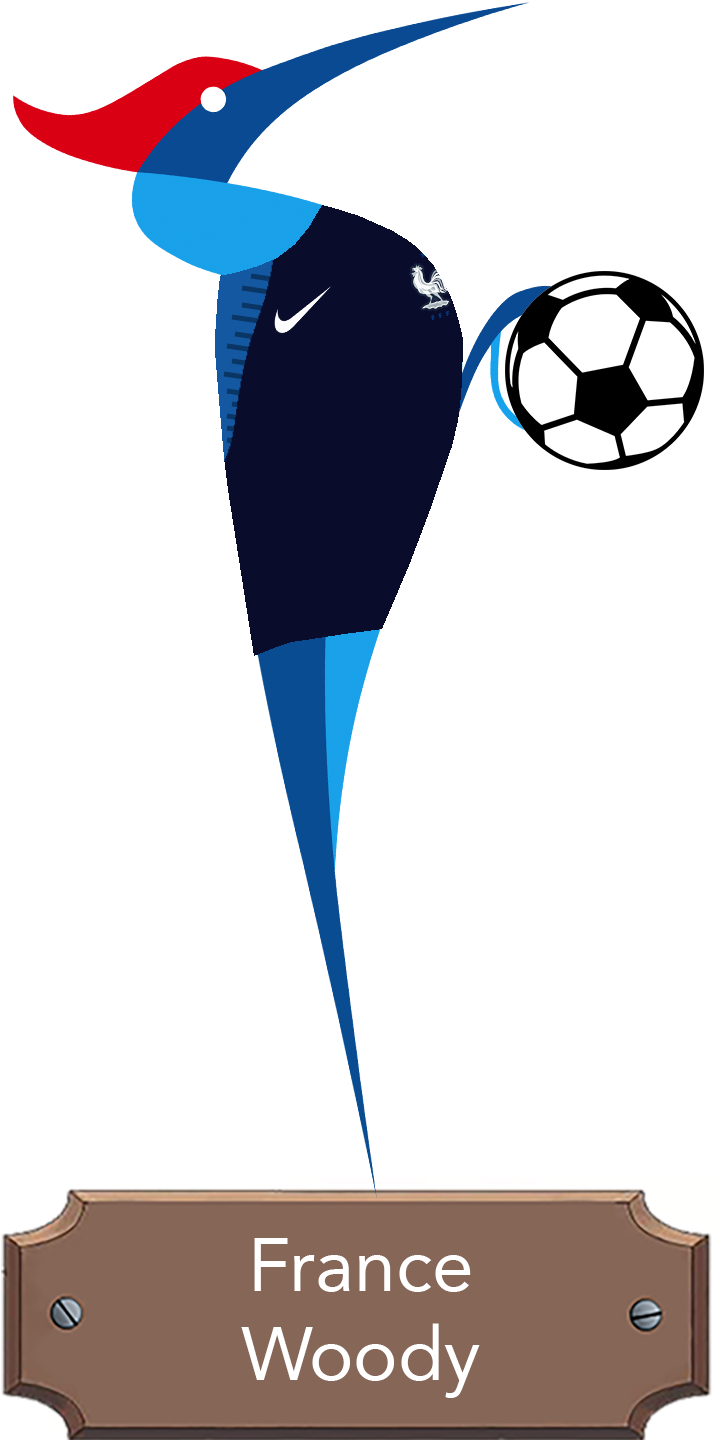 Download Transparent Png - Aff Suzuki Cup 2010 Clipart (721x1440), Png Download