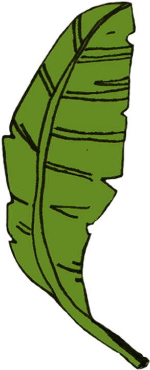 Hoppers, Dosas, Rice, Roast, Kothu & Arrack Inspired Clipart (389x800), Png Download