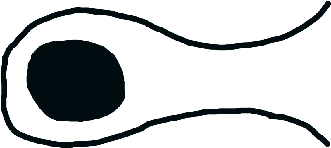 Png Clipart Free Download - Cartoon Mouth Whistling Transparent Png (1257x636), Png Download