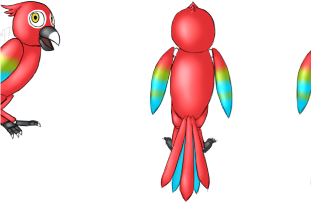 Macaw Png Transparent Images - Parrot Reference Clipart (640x480), Png Download