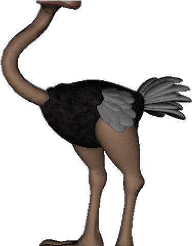Ostrich Clipart (640x480), Png Download