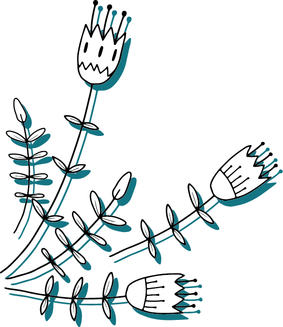 Muchas Clipart (559x647), Png Download