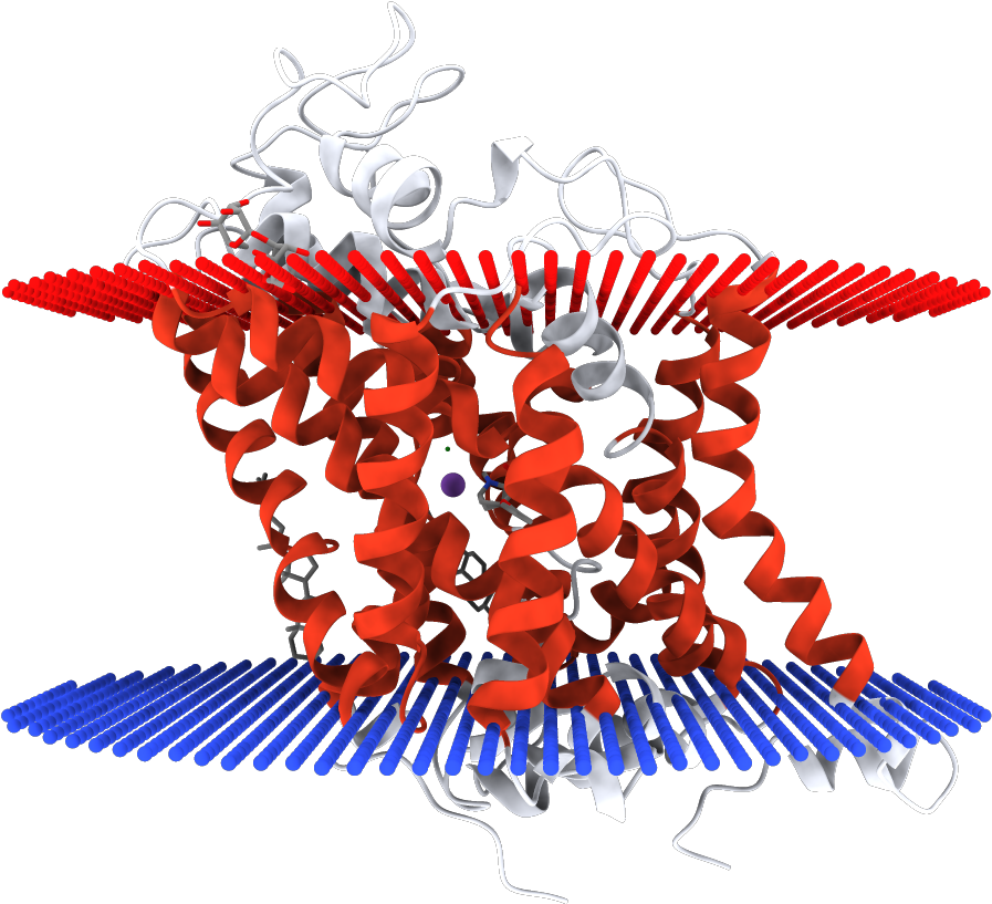 4xpb - Illustration Clipart (1000x1000), Png Download