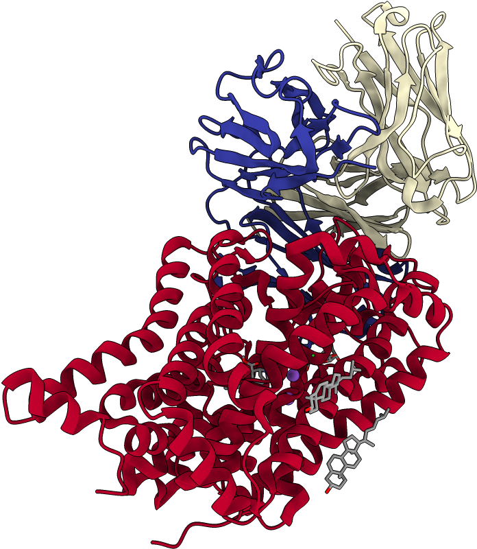 Chains Colored In Rainbow - Illustration Clipart (1000x1000), Png Download