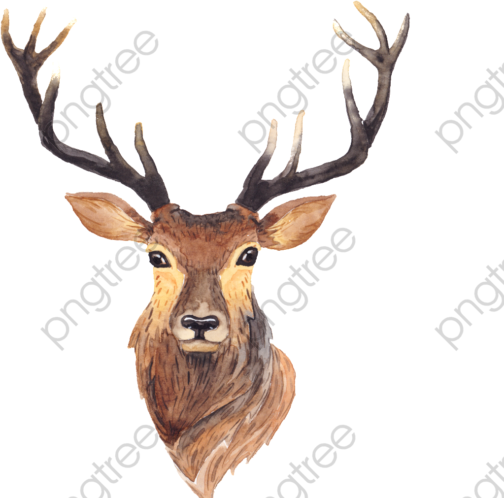 Simple Transparent Antlers Png Format Image With Size - Deer Art Clipart (1024x1024), Png Download