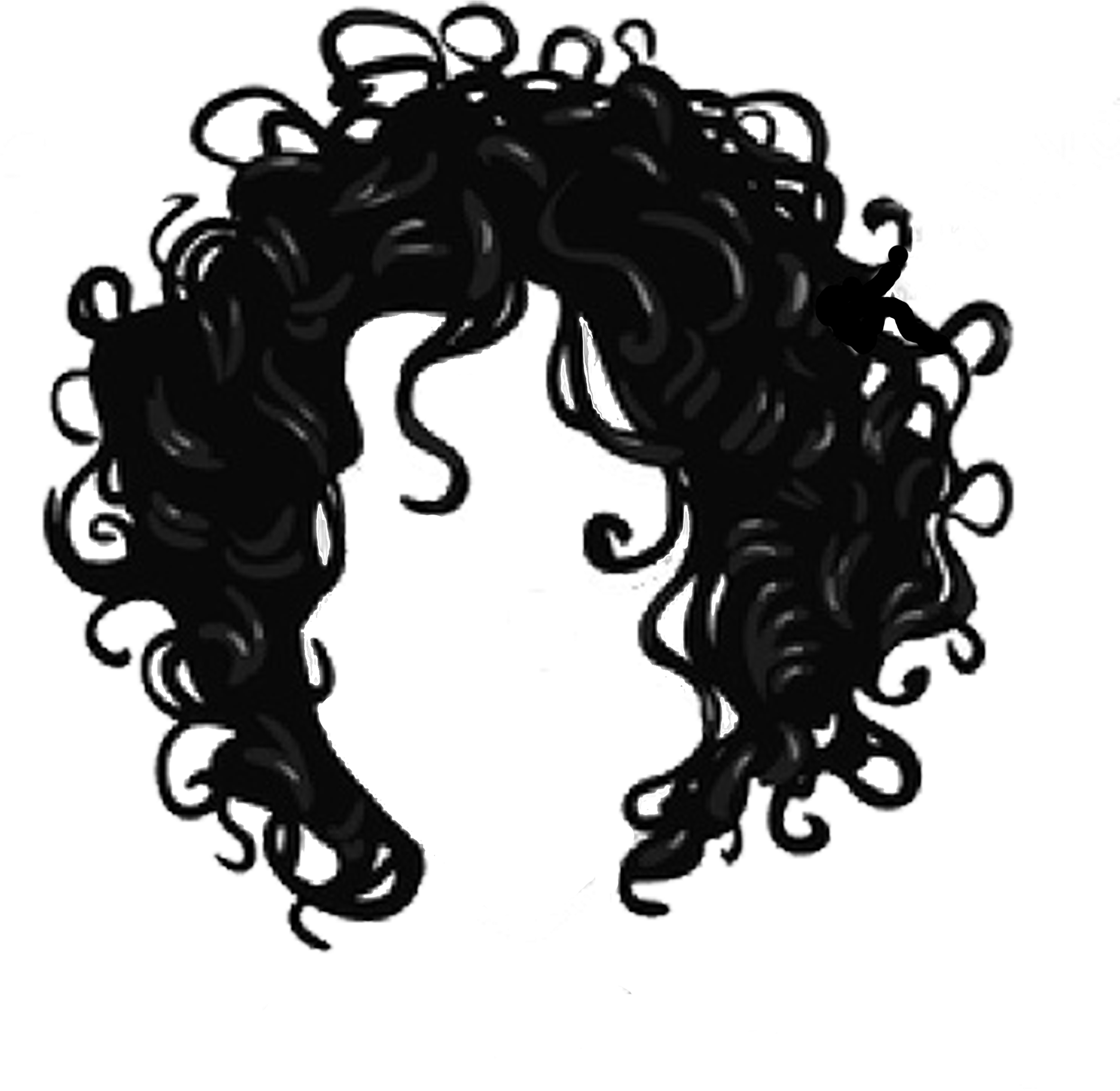 Download Curly Hair Logo Png Clipart (4954680) PinClipart