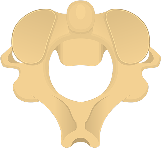 Illustration Clipart (1201x600), Png Download