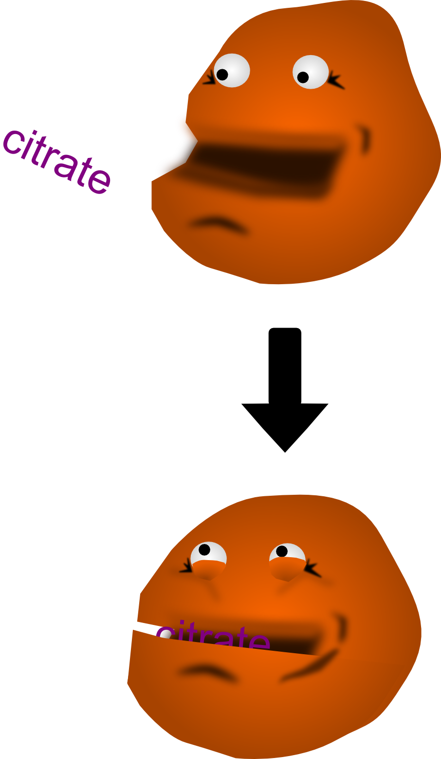 Just Put Them Under A Microscope, Because These Proteins - Dibujos De Karate Clipart (906x1557), Png Download