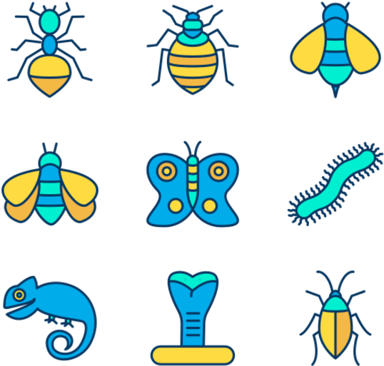Insects Clipart (600x564), Png Download