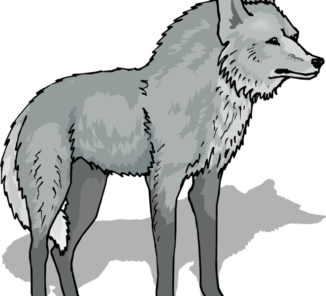 Free Wolf Clipart - Wolf Clipart Png Transparent Png (662x600), Png Download