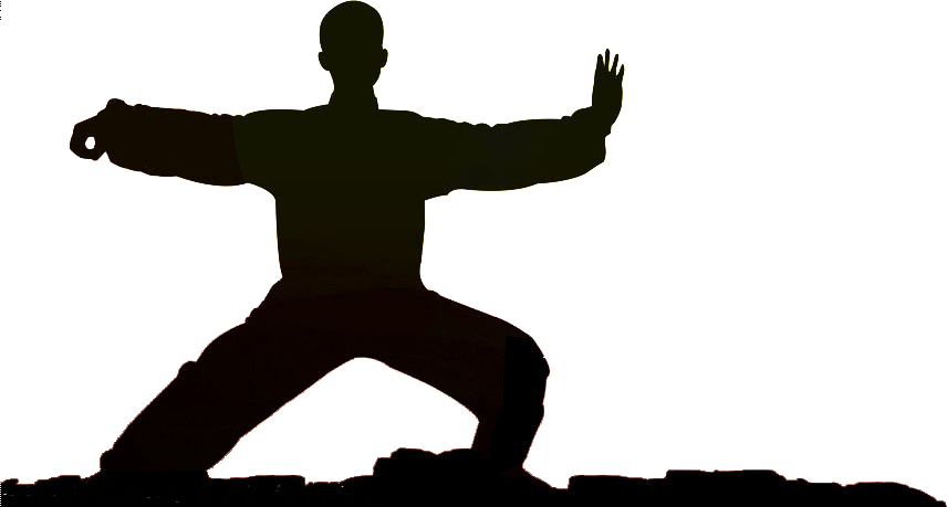 Martial Arts Silhouette Png - Tai Chi Clipart (856x459), Png Download