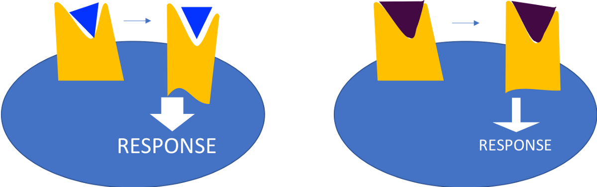 Aeon Clipart (1200x376), Png Download