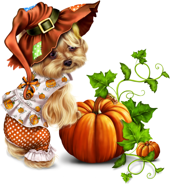 Little Pumpkin Yorkie - Yorkshire Terrier Clipart (640x640), Png Download