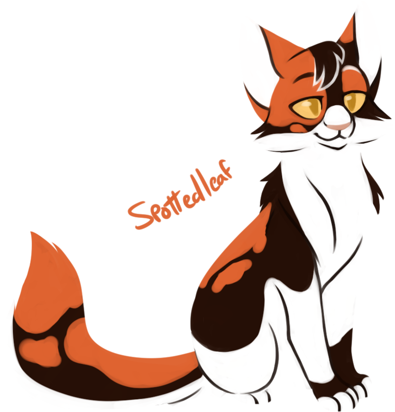 Kitten Clipart Mama Cat - Warriors - Png Download (903x885), Png Download