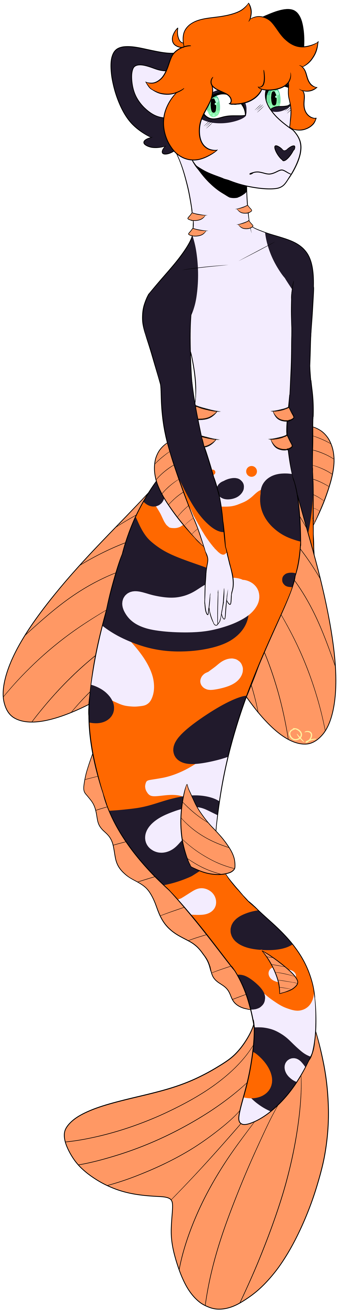 Details - Illustration Clipart (2500x5750), Png Download